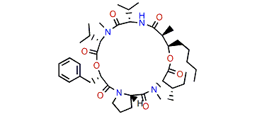 Tiahuramide C